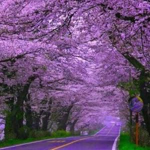 Meet your Posher, Nina